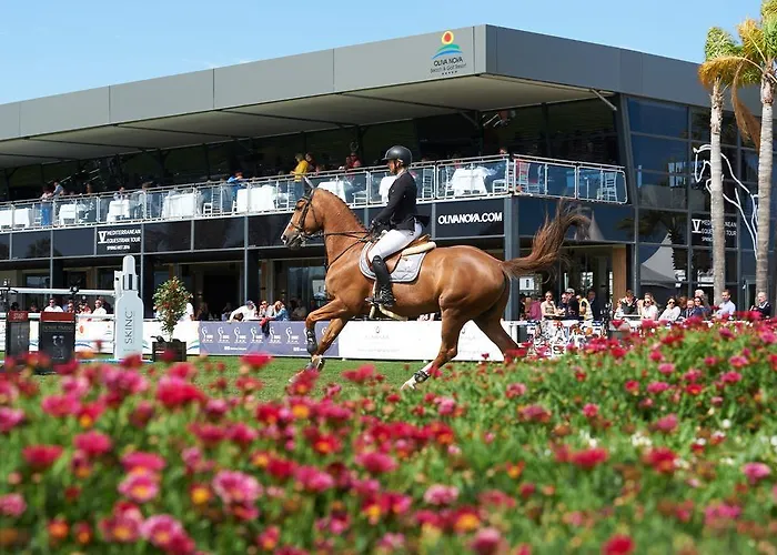 Dunas Apartamento Oliva