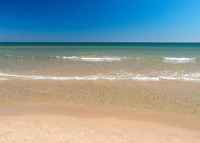 Dunas Apartamento Oliva